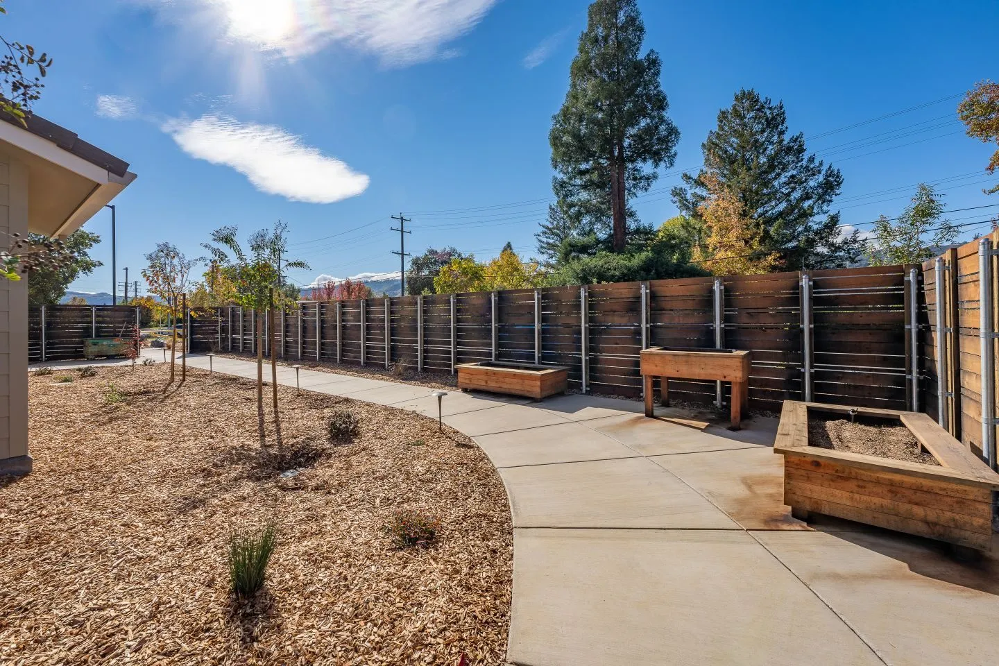 Backyard patio with planters