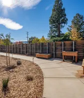 Backyard patio with planters
